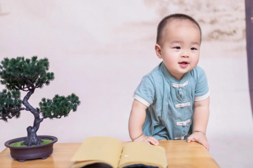 广元可爱的企鹅宝宝